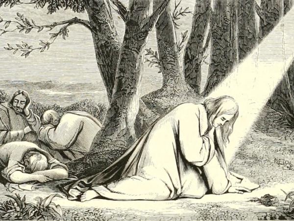 Christ praying in garden